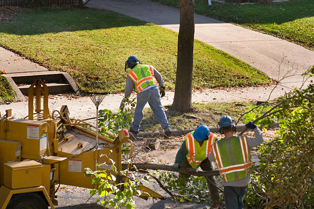 Best Storm Damage Tree Cleanup  in Paducah, KY